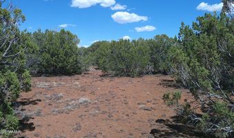 5 County Road 8077, Concho, AZ 85924