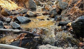 12 Barton Flats Rd, Angelus Oaks, CA 92305