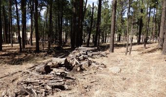 8 B County Road 2267 Escudilla Rd, Alpine, AZ 85920