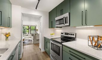 941 Vine St, Aspen, CO 81611