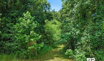 3470 Bell Fork Rd, Atmore, AL 36502