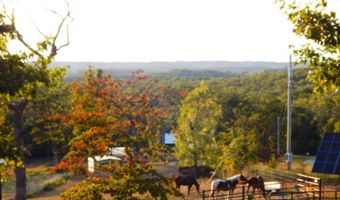 3191 State Hwy Dd Pvt Dr B Tract 5, Ava, MO 65608