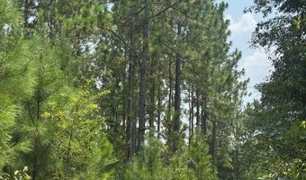 Luke Road lot 02, Ashburn, GA 31714