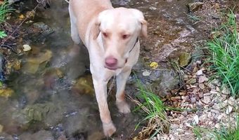 4775 S 50th Rd, Aldrich, MO 65601