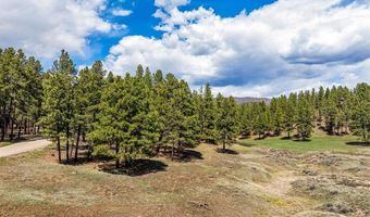 841 Beaver Creek Dr, Bayfield, CO 81122