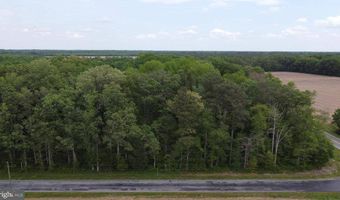 Lot 5 Cedar Grove Church Road, Felton, DE 19943
