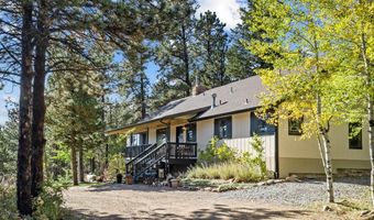 11982 Peak To Peak Dr, Allenspark, CO 80510