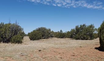 17 County Road 8077, Concho, AZ 85924