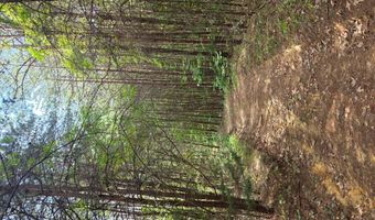 1408 Coleman Mountain Rd, Appomattox, VA 24522