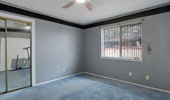 10048 Stedham Cir, Socorro, TX 79927
