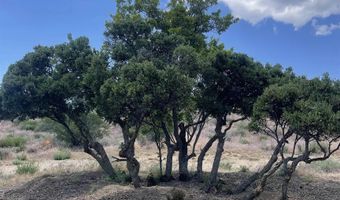 56795 Cain Rd, Anza, CA 92539