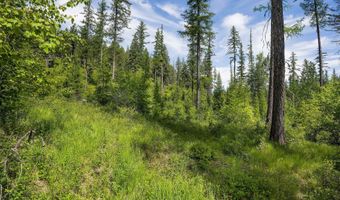 477 Chief Cliff Trl, Bigfork, MT 59911