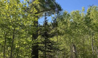 Gratiot River Road lot A, Allouez, MI 49805