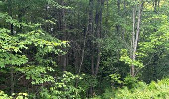 00 VT Route 105, Brighton, VT 05846