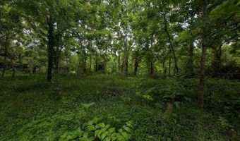 Mt Helen Rd, Allardt, TN 38504