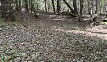 Route 9 lot 13, Aurora, ME 04428