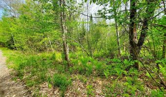 Pleasent Pond Road lot 6, Atkinson, ME 04426