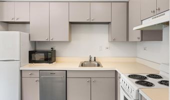 115 Boomerang Rd 5309, Aspen, CO 81611