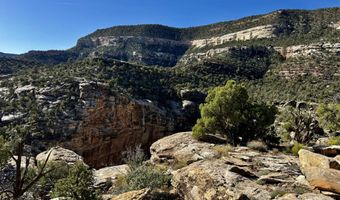 TBD X4 Road, Bedrock, CO 81411