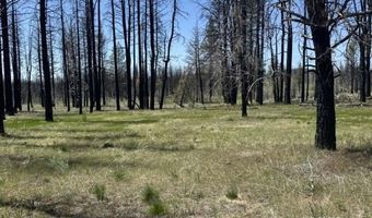 Off-Hicks Road, Bly, OR 97622