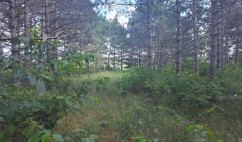 Lot 113 Beaver Lane, Arkdale, WI 54613