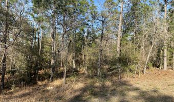 Largo Street, Alford, FL 32420