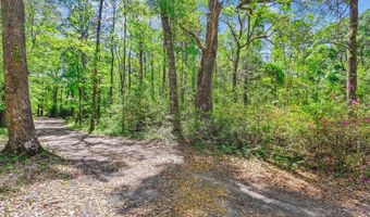 7095 Parkers Ferry Rd, Adams Run, SC 29426