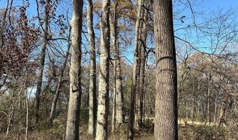 New Cut Road, Alvaton, KY 42122