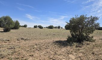 256 D Old Antelope Run Rd, Ash Fork, AZ 86320