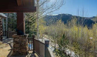 56 Five Trees Ln, Aspen, CO 81611