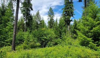 NNA Continental Lane-Tract 1, Bonners Ferry, ID 83805