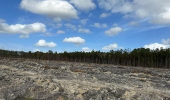 Ahoskie Cofield Road, Ahoskie, NC 27910
