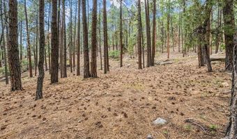432 Blue Ridge Dr, Bayfield, CO 81122