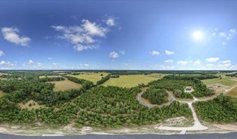 4899 36th St, Bell, FL 32619