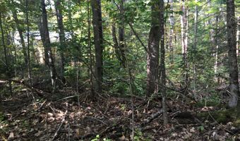 228 S Stagecoach Rd, Atkinson, ME 04426