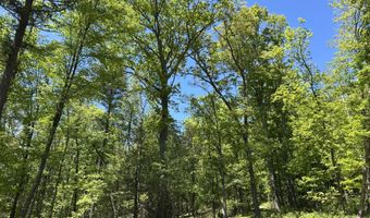 TALLMAN HOLLOW ROAD, Montoursville, PA 17754