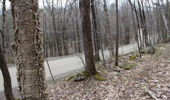 Upper Meehan Road, Bristol, VT 05443