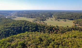4495 County Road 405, Alton, MO 65606