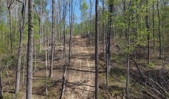 7900 Mineral Koleen Rd, Bloomfield, IN 47424