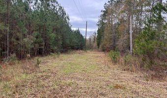 TBD County Road 86, Abbeville, AL 36310