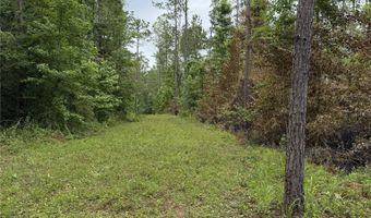 154 County Road 38 Acres, Banks, AL 36005