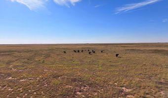 6216 Moreland Rd, Boone, CO 81025