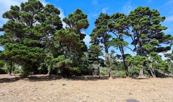 SW Edison Ave, Bandon, OR 97411