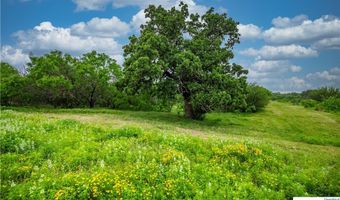 La Vernia Road, Adkins, TX 78101