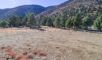 1518 Alba Vista Lot 1518 Alba Vis, Gardnerville, NV 89410