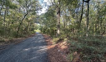 Parcel B Carroll Drive, Baker, FL 32531