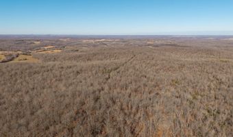 Tuska Drive, Ash Flat, AR 72513