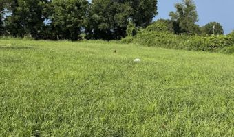 4255 Cherryville Rd, Bells, TN 38006