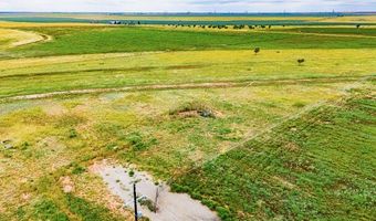 17616 N Private Road 2220, Abernathy, TX 79311