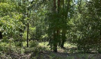 Tbd Watermelon Lane, Barnwell, SC 29812